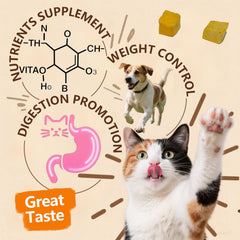 JADINGSFARM pumpkin-dog-cat-closeup: single-ingredient promise for simple snacking.