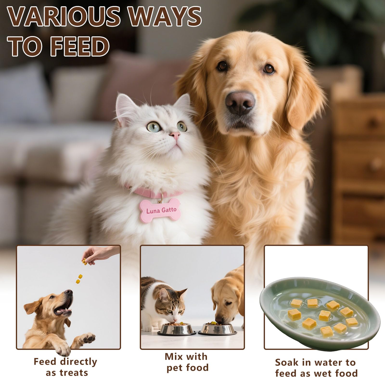 JADINGSFARM pumpkin-treats-bowl: ready-to-serve munchies pets love.