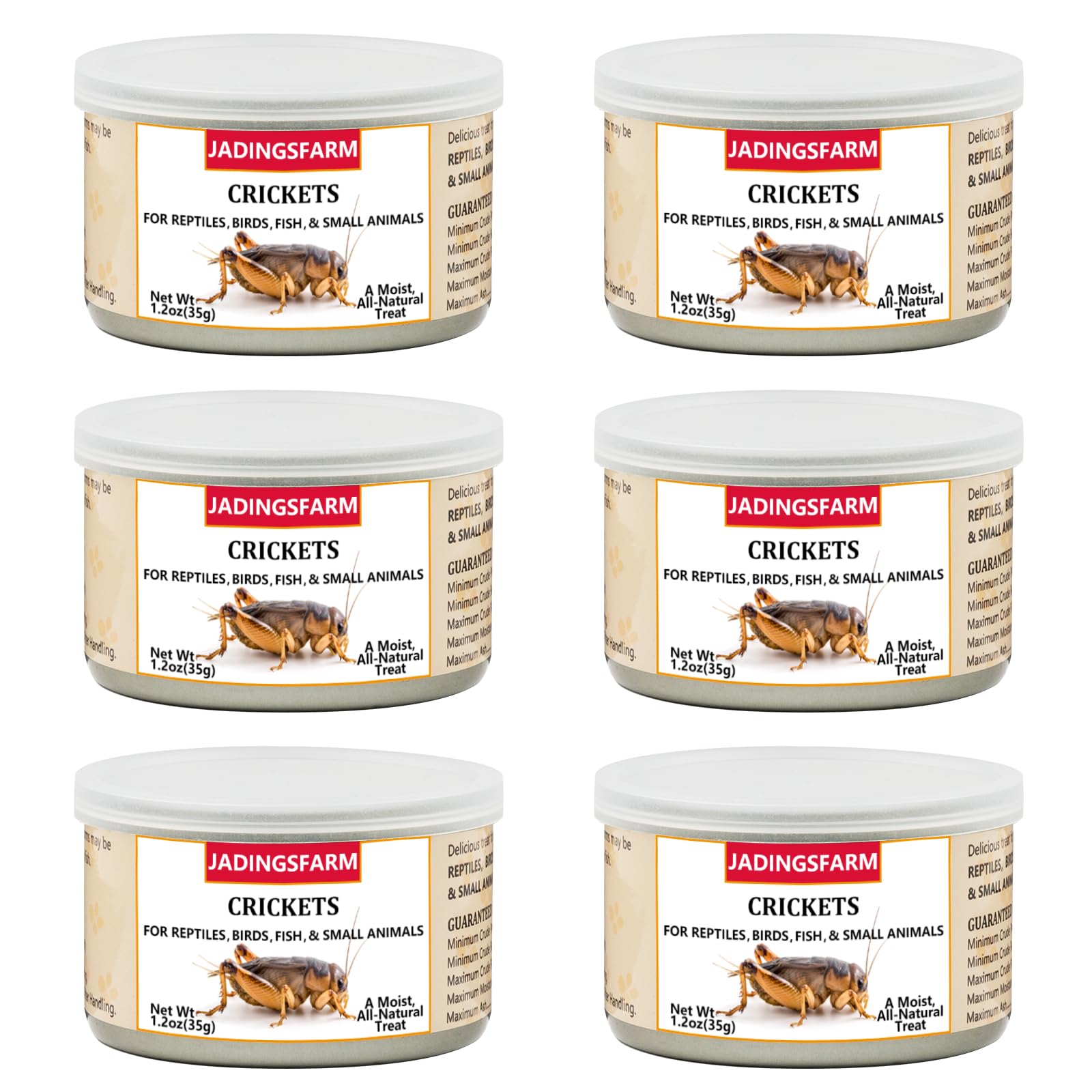 JADINGSFARM 6pack crickets for pets—the ideal protein-rich feeding option for reptiles and birds.