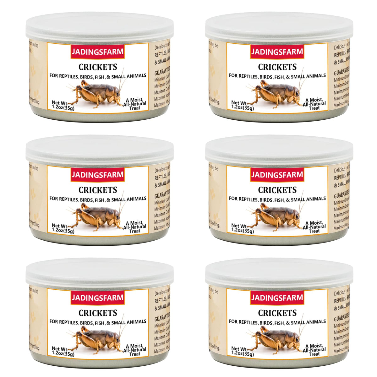 JADINGSFARM 6pack crickets for pets—the ideal protein-rich feeding option for reptiles and birds.
