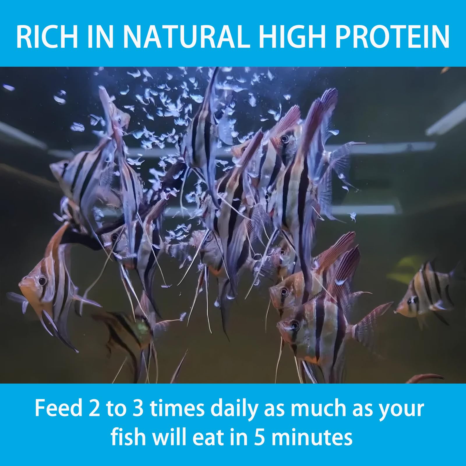 JADINGSFARM aquarium food for multiple species suits freshwater and marine tanks.