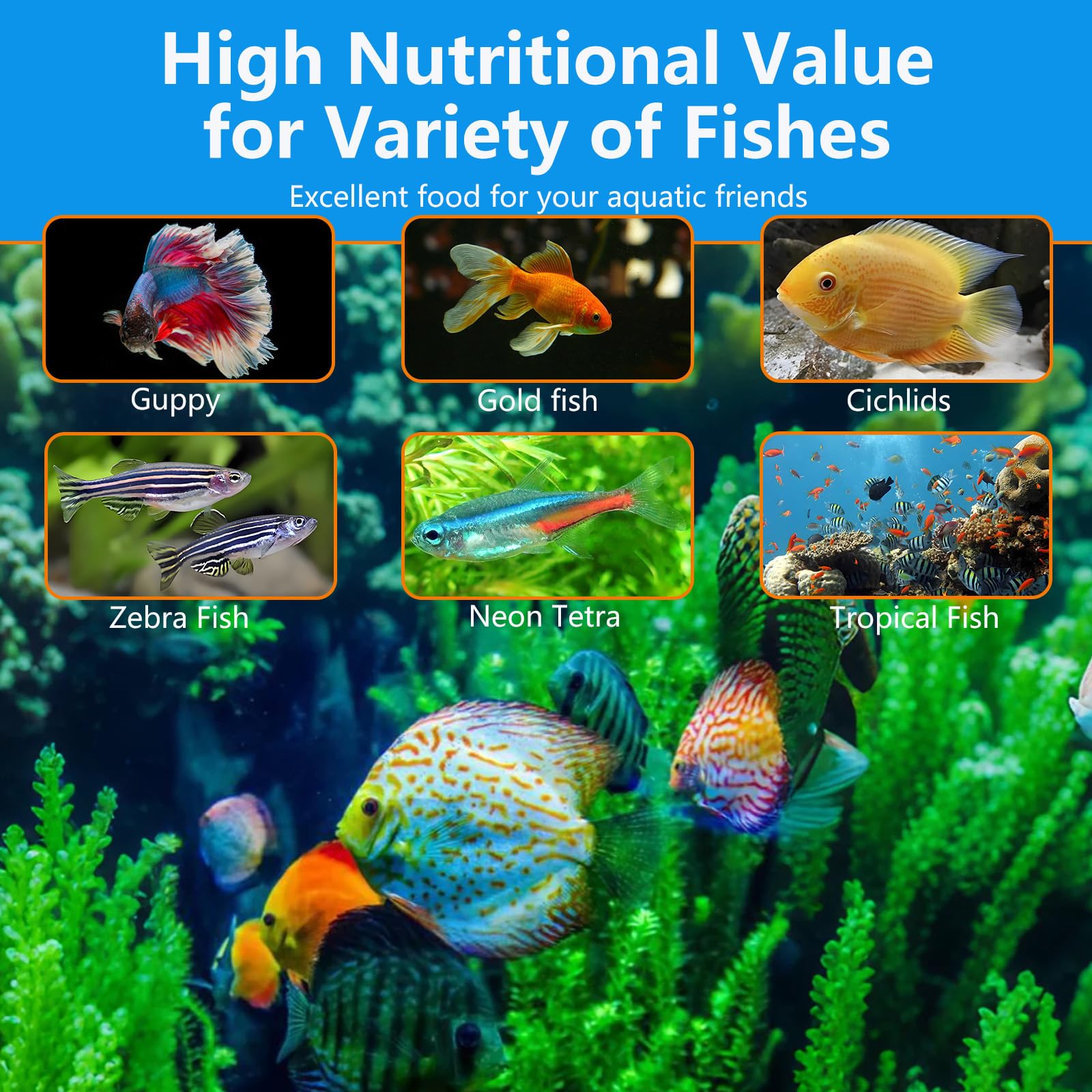JADINGSFARM Brine Shrimp Food color-boost closeup with algae carotenoids and astaxanthin