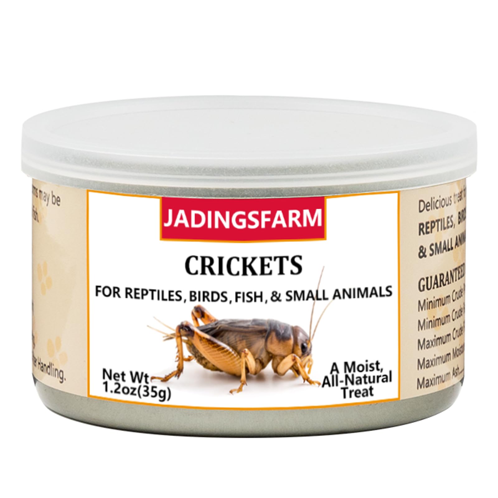JADINGSFARM crickets in can—moist, ready-to-serve nutrition for lively fish and small animals.