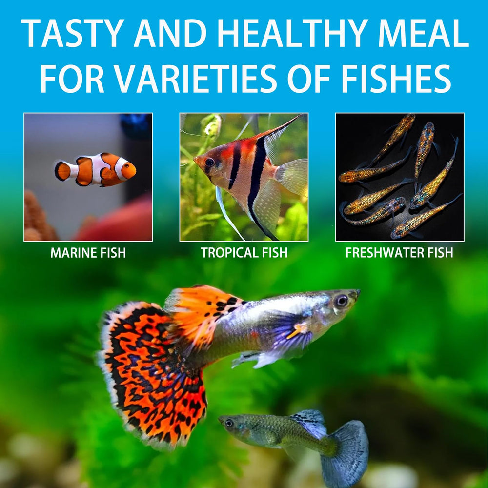 JADINGSFARM daily feeding routine supports consistent care for small fish.