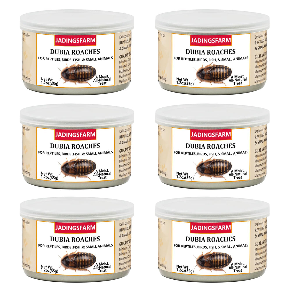 JADINGSFARM Dubia Roaches canned-pack highlights convenient protein for reptiles and birds.