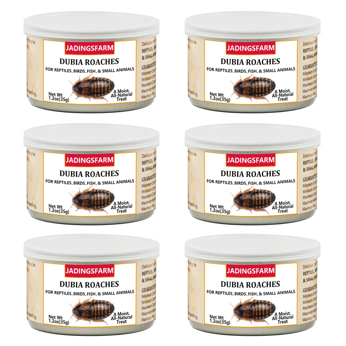 JADINGSFARM Dubia Roaches canned-pack highlights convenient protein for reptiles and birds.