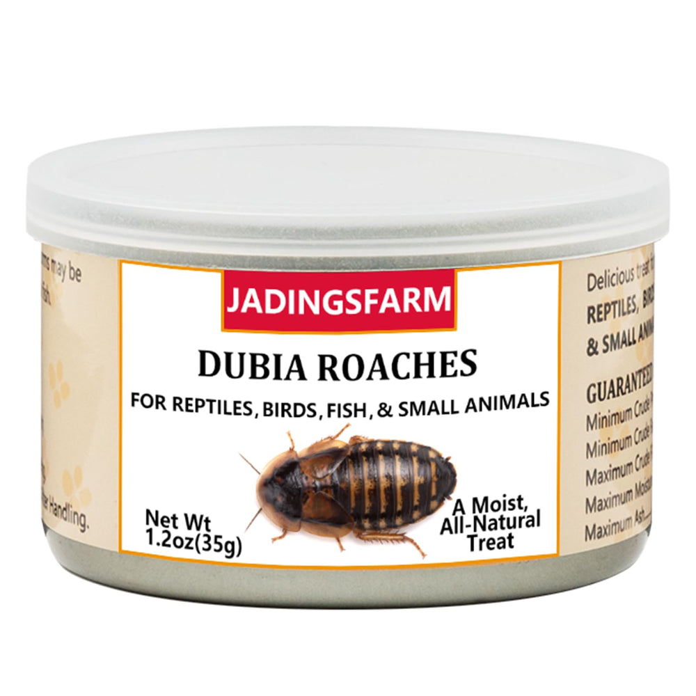 JADINGSFARM Dubia Roaches portion-one-point-two-oz emphasizes easy serving and portion control.