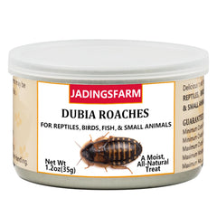 JADINGSFARM Dubia Roaches portion-one-point-two-oz emphasizes easy serving and portion control.