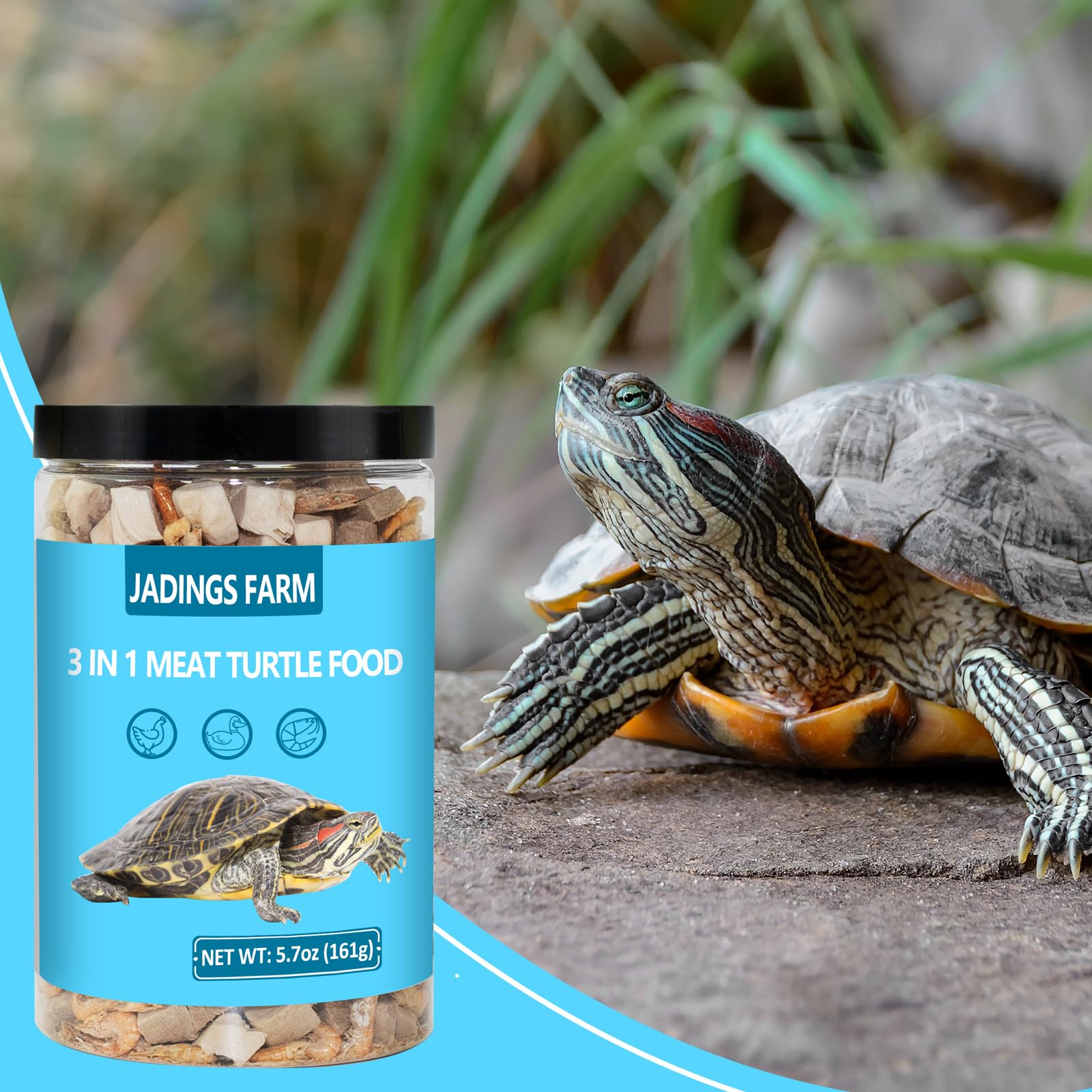 JADINGSFARM easy-feed prep demonstrates portioning for turtles of different sizes.