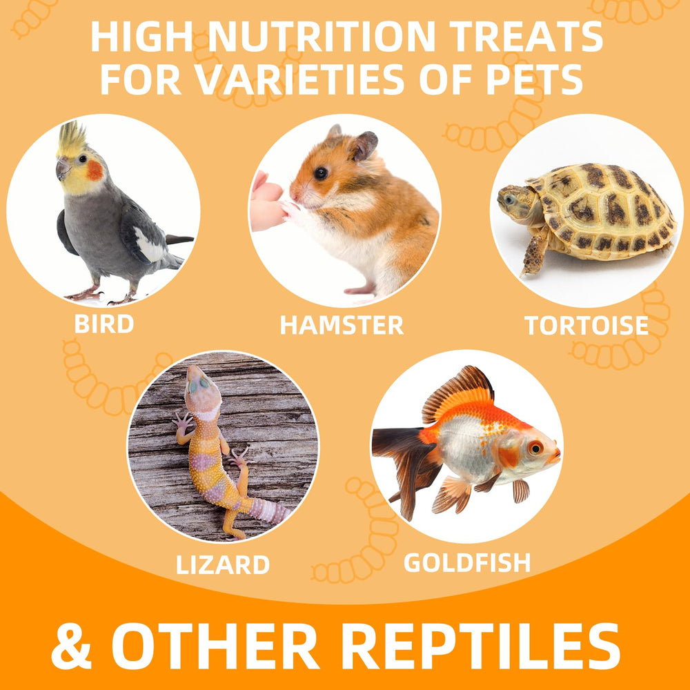 JADINGSFARM farm-raised crickets—delicate palate-friendly protein source for varied life stages.