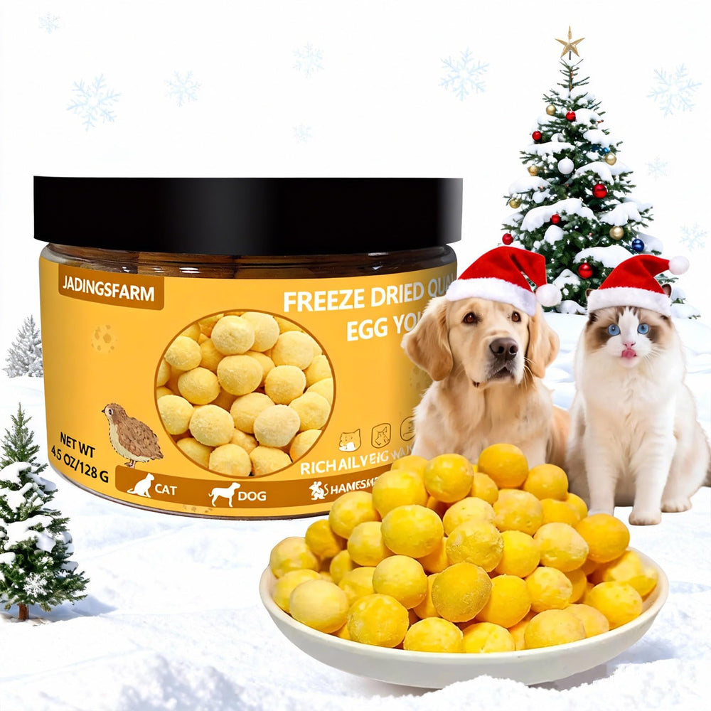 JADINGSFARM freeze-dried quail egg yolk treat jar for high-protein pet snacking.