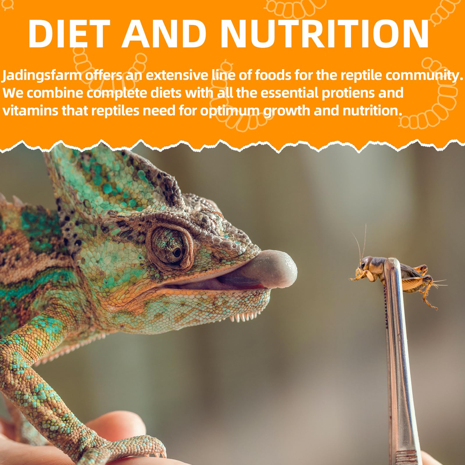 JADINGSFARM high-protein-treat—nutritious snack that supports active pets during playtime.