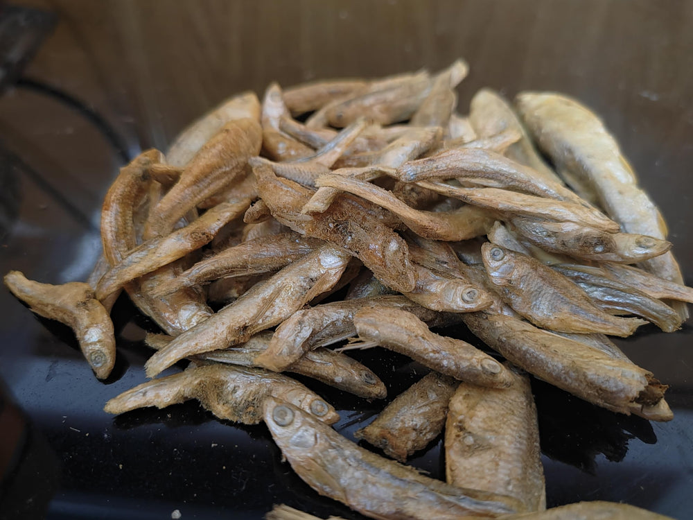 JADINGSFARM Minnows-easy-open-can demonstrates convenient storage for daily feeding.