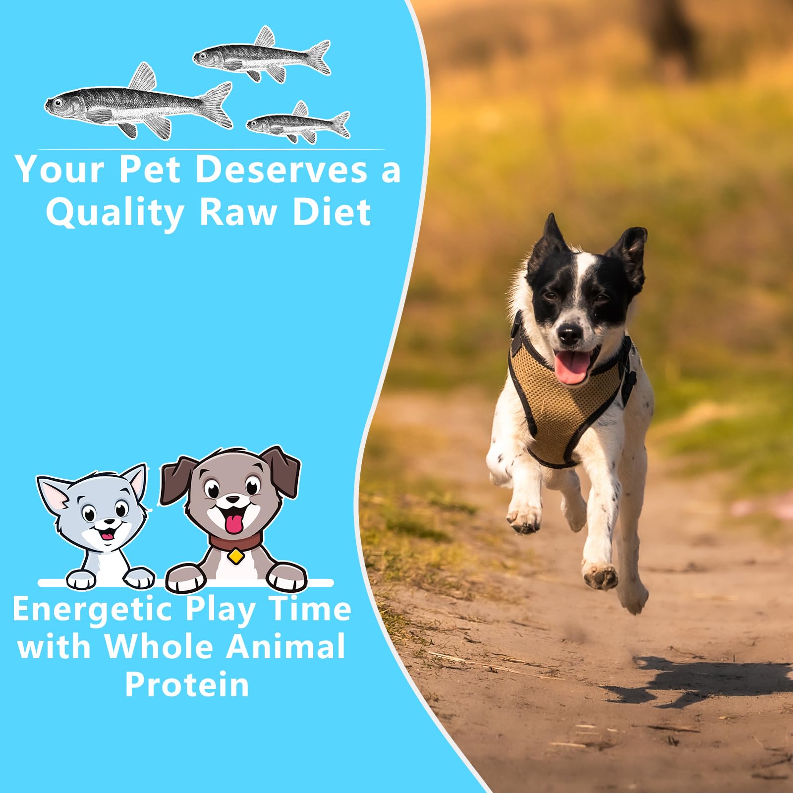 JADINGSFARM Minnows-grain-free-snack emphasizes allergy-friendly, simple ingredients.
