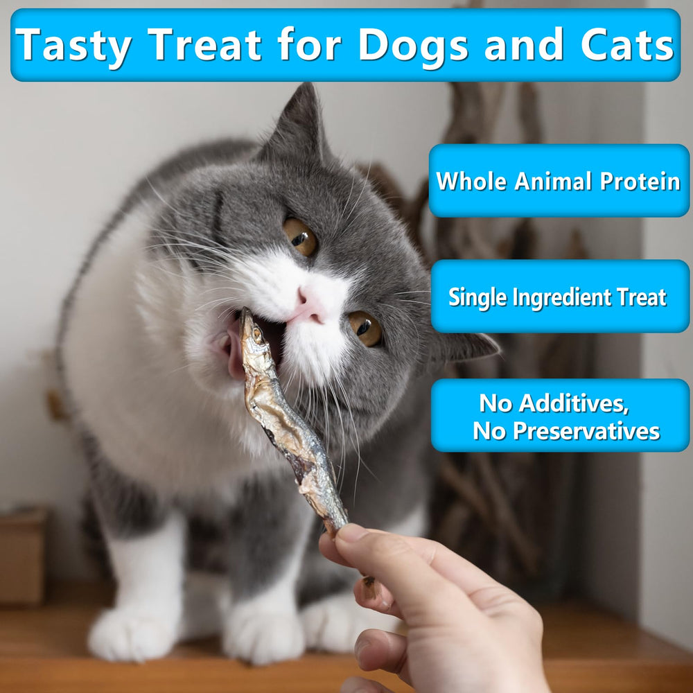JADINGSFARM natural minnows in bowl emphasize protein-rich, nutrient-dense snack for pets.