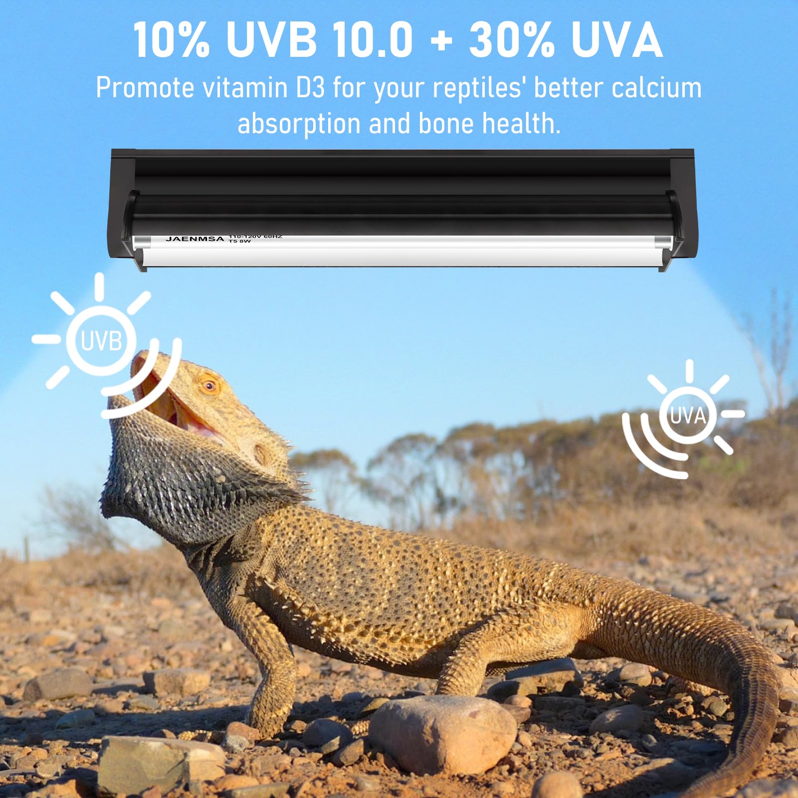 Jaenmsa 12-inch UVB tube provides wide UV distribution for basking zones