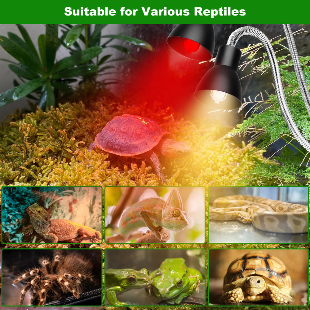 Jaenmsa red bulbs provide heat and gentle night-time warmth cues.
