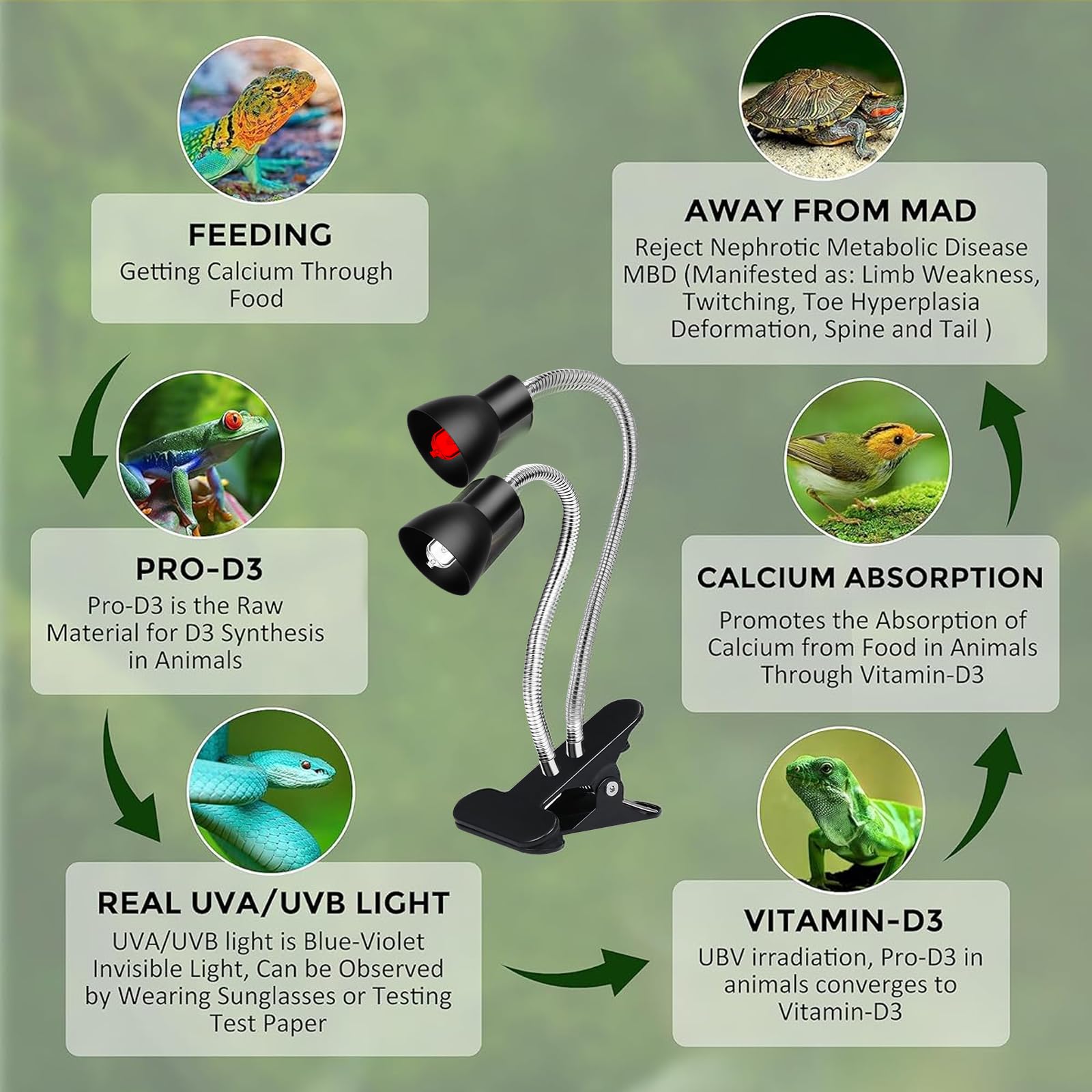 Jaenmsa timer modes help automate day-night cycles for reptiles.