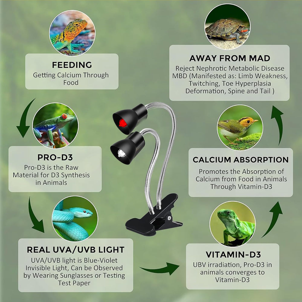Jaenmsa timer modes help automate day-night cycles for reptiles.