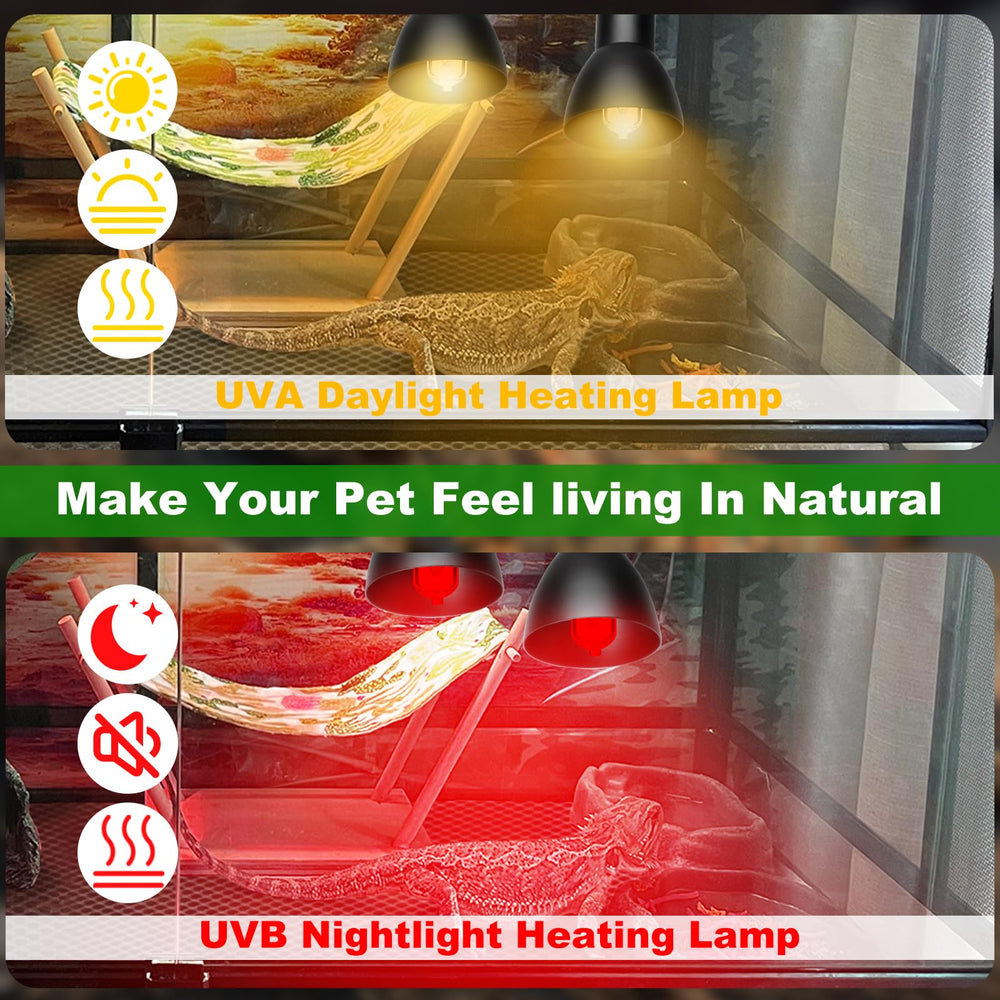 Jaenmsa white heat bulbs illuminate daytime basking with safe warmth.