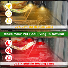Jaenmsa white heat bulbs illuminate daytime basking with safe warmth.