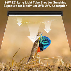 Jaenmsa long-life 6000-hours fixture delivers reliable performance