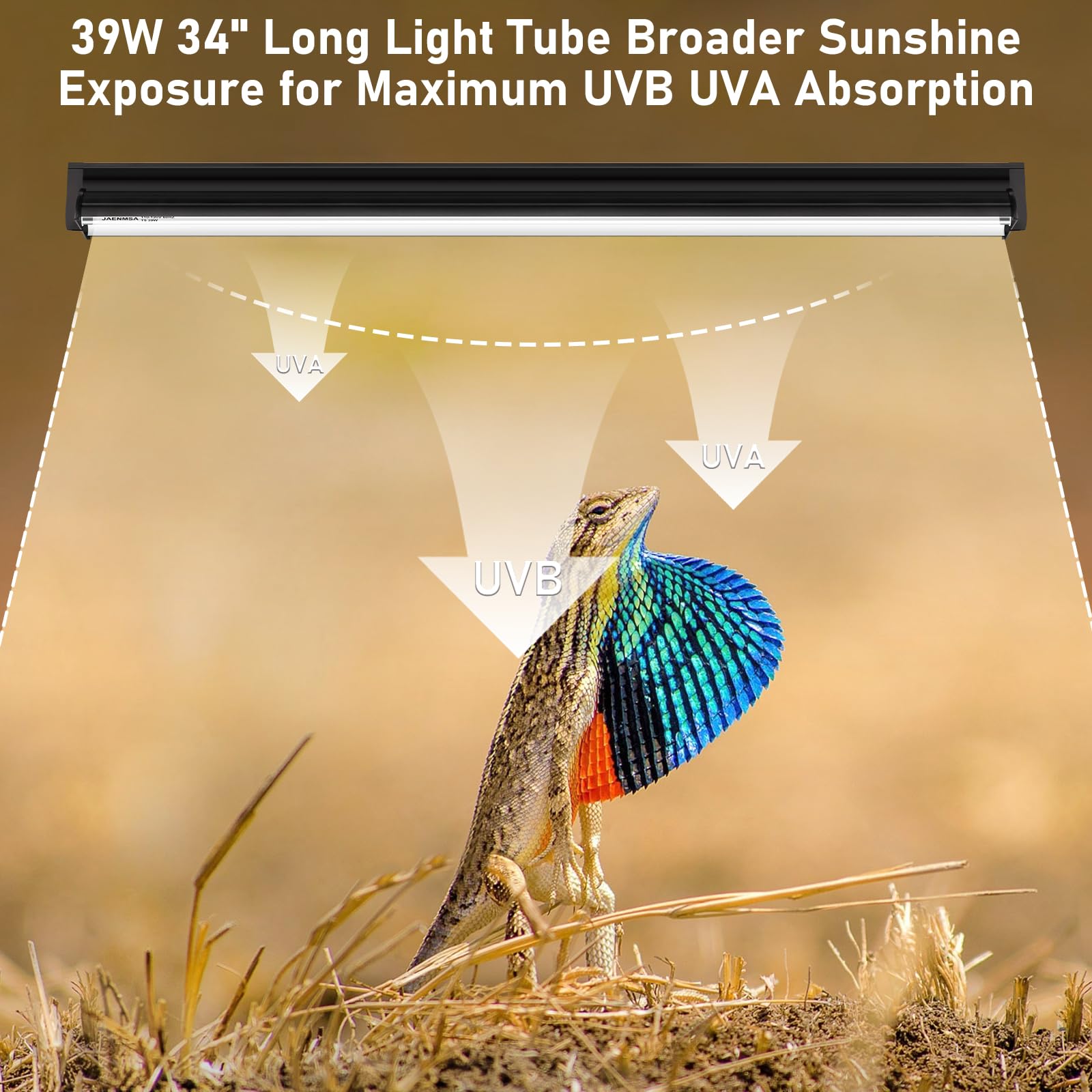 Jaenmsa T5 10.0 UVB bulb showing UVB coverage supports calcium metabolism.