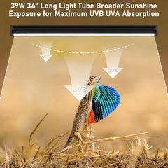 Jaenmsa T5 10.0 UVB bulb showing UVB coverage supports calcium metabolism.