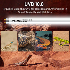 Jaenmsa two-pack UVB bulbs highlighting cost-effective replacement for reptile habitats.