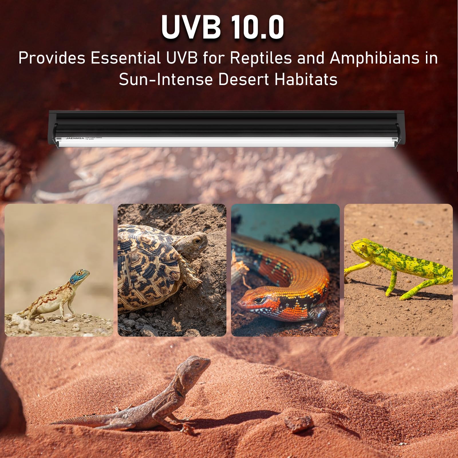 Jaenmsa UVB lamp image showing visible light and infrared for habitat comfort
