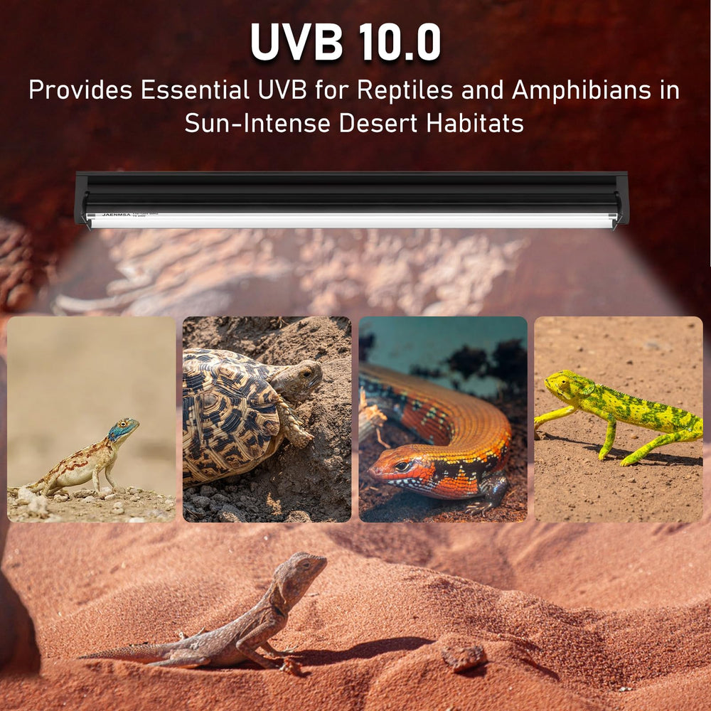 Jaenmsa UVB lamp image showing visible light and infrared for habitat comfort