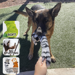 Jalousie stuffingless dog toys with no mess design ideal for indoor play.