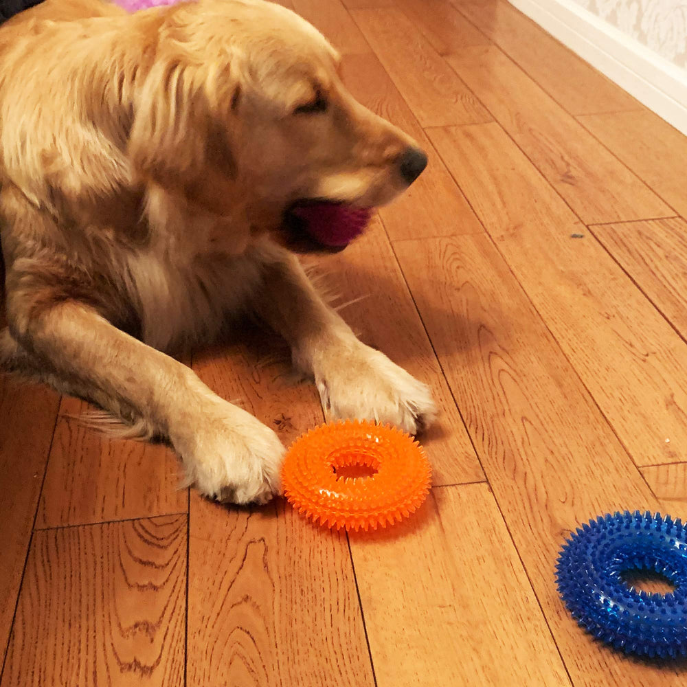 Jalousie colorful dog toys pack with high visibility colors