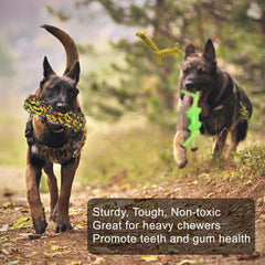 Jalousie frisbee dog toy ready for outdoor play and training