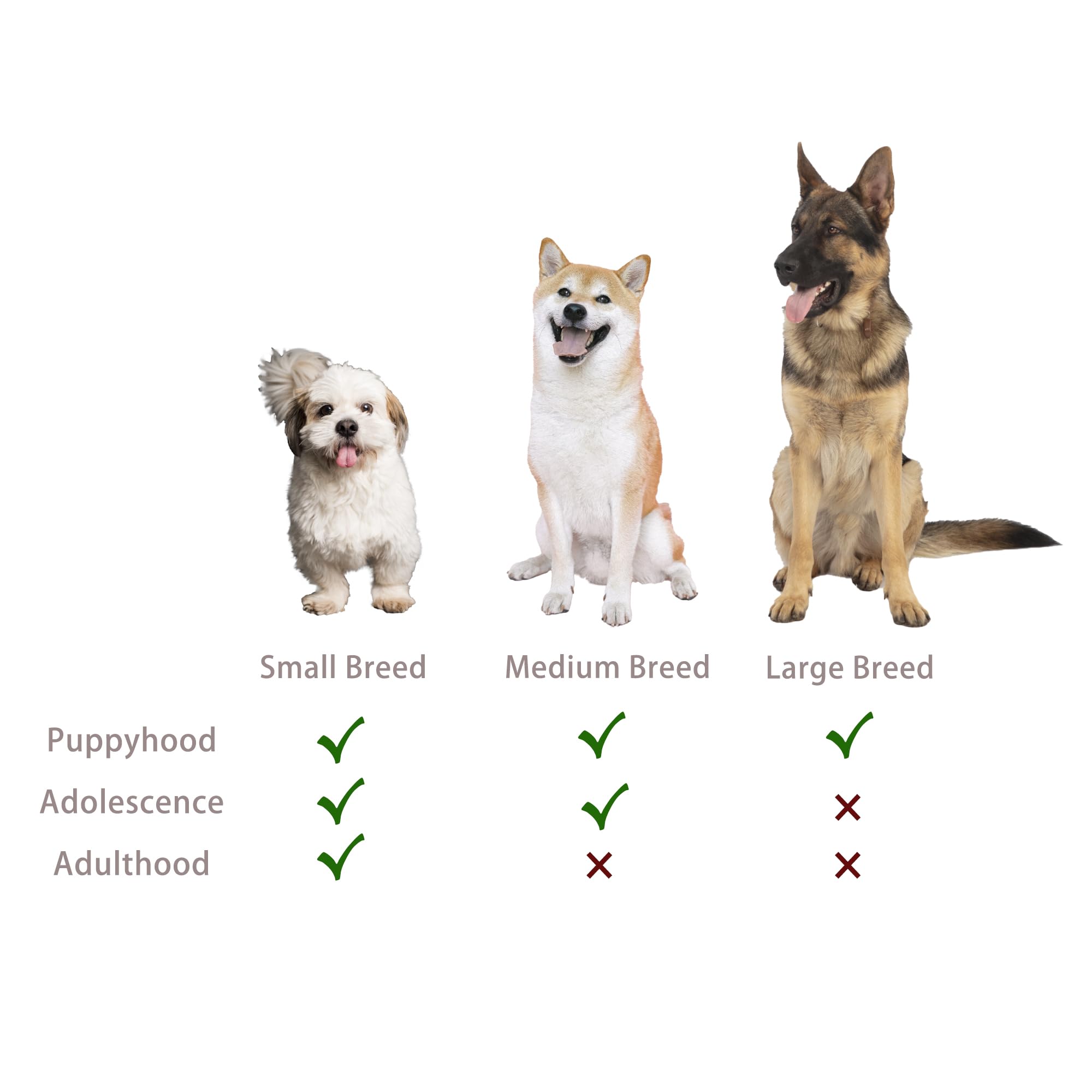 Jalousie juguete de cuerda nudo para perros, favorece limpieza de dientes.