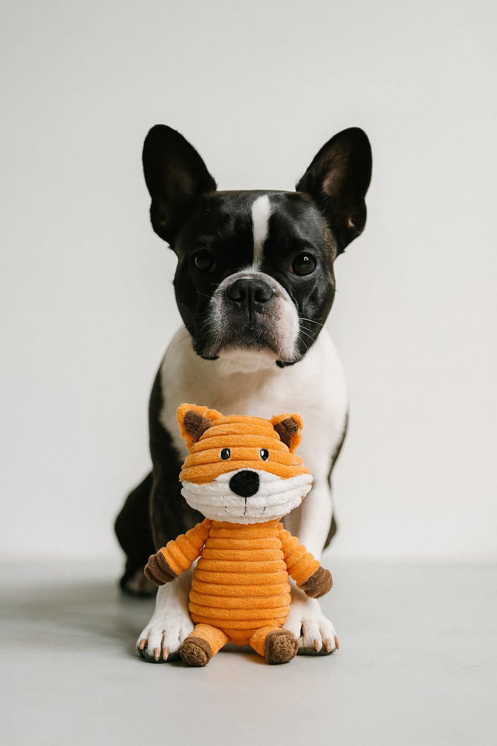 Jalousie corduroy texture offers gentle chew sensation and comforting feel