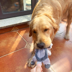 Jalousie durable seams plush toy designed for tougher chewers and extended play sessions.
