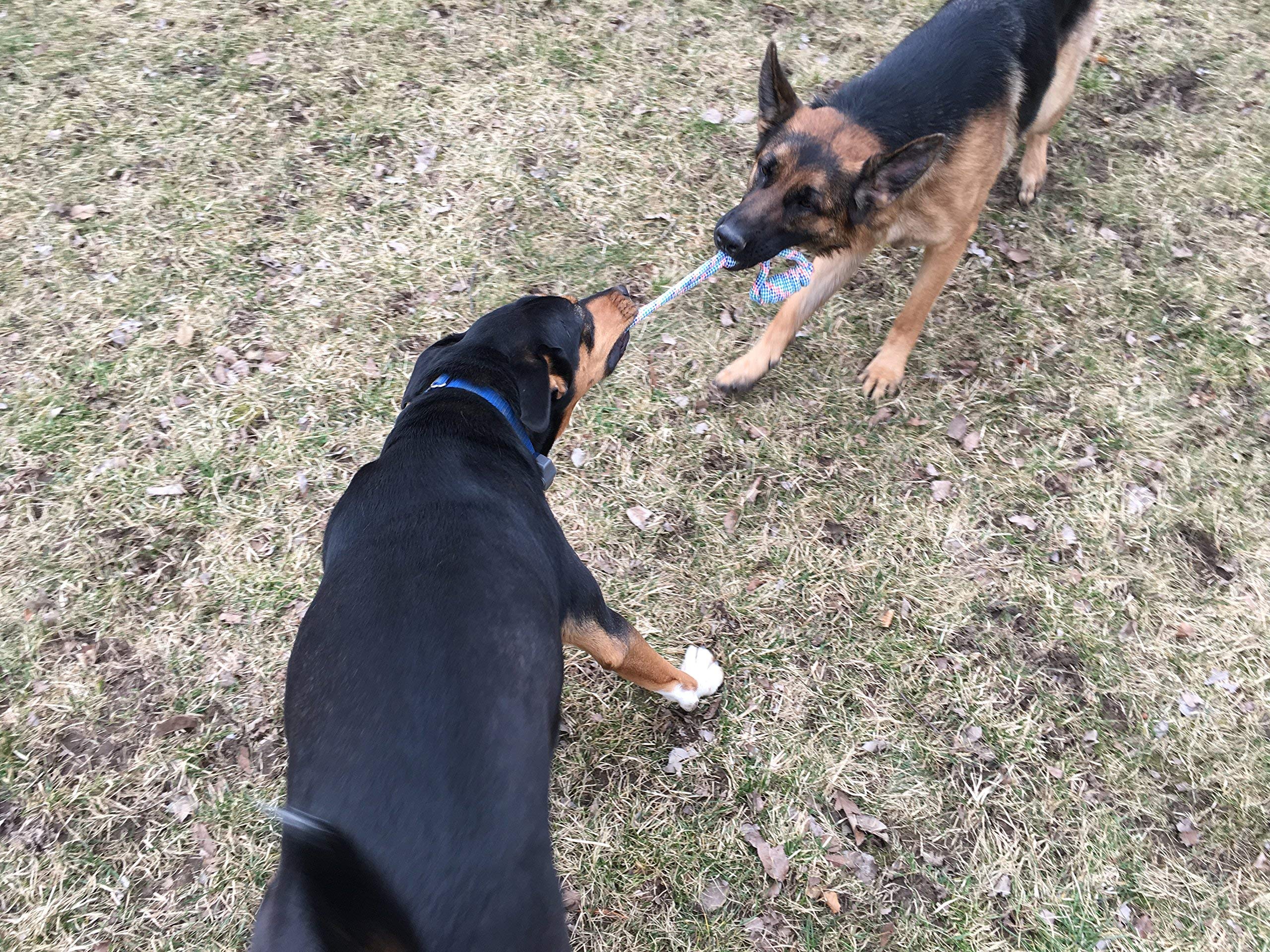 Jalousie rope texture closeup showing thick fibers built for wear