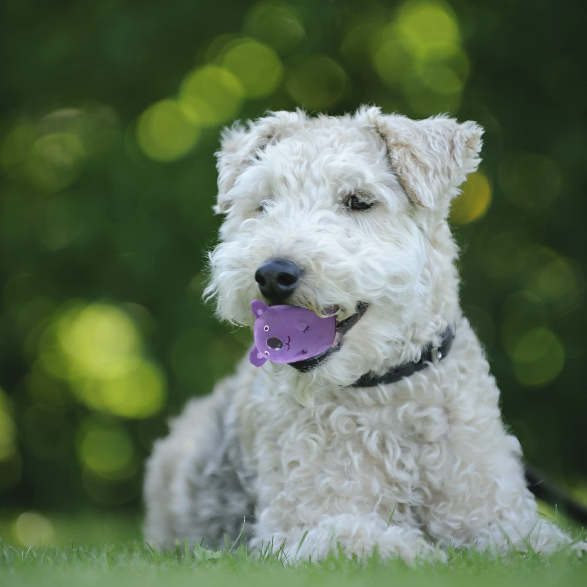 Jalousie soft latex puppy chew toy for small pets during fetch sessions.