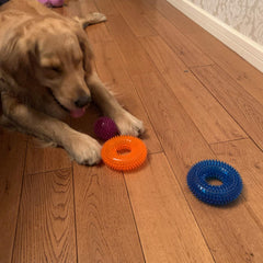 Jalousie non-toxic TPR rubber dog toy safe for chewing
