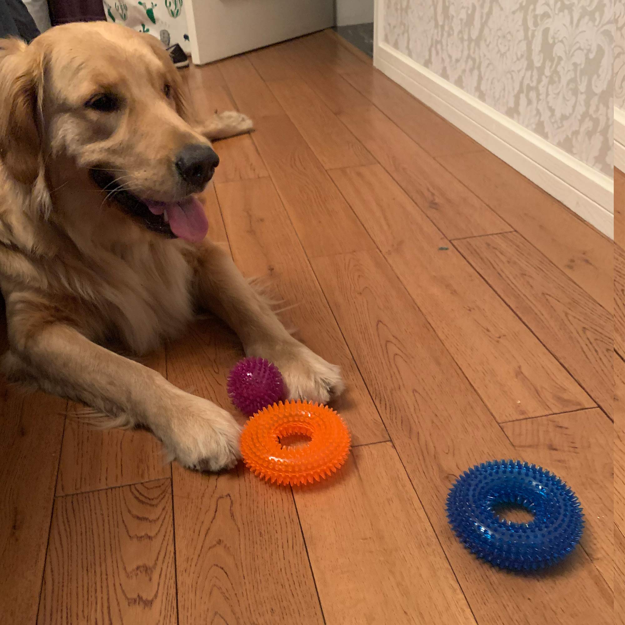Jalousie training toy for teaching drop it and bring it