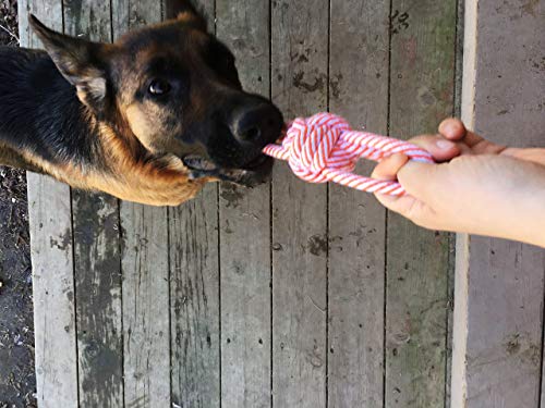 Jalousie weather-resistant rope toy closeup for outdoor durability
