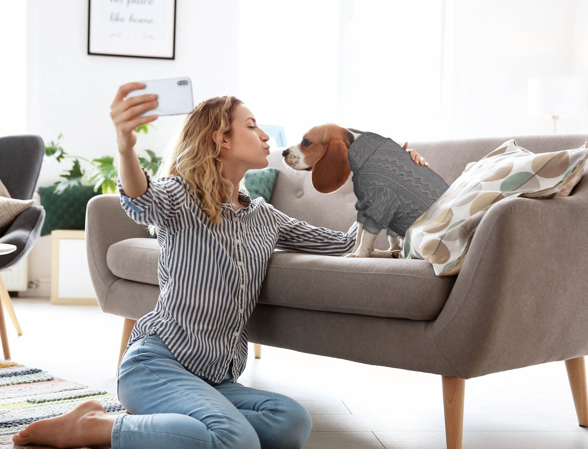 Jamktepat dog sweater turtleneck grey on-dog demonstrates easy slip-on wear.