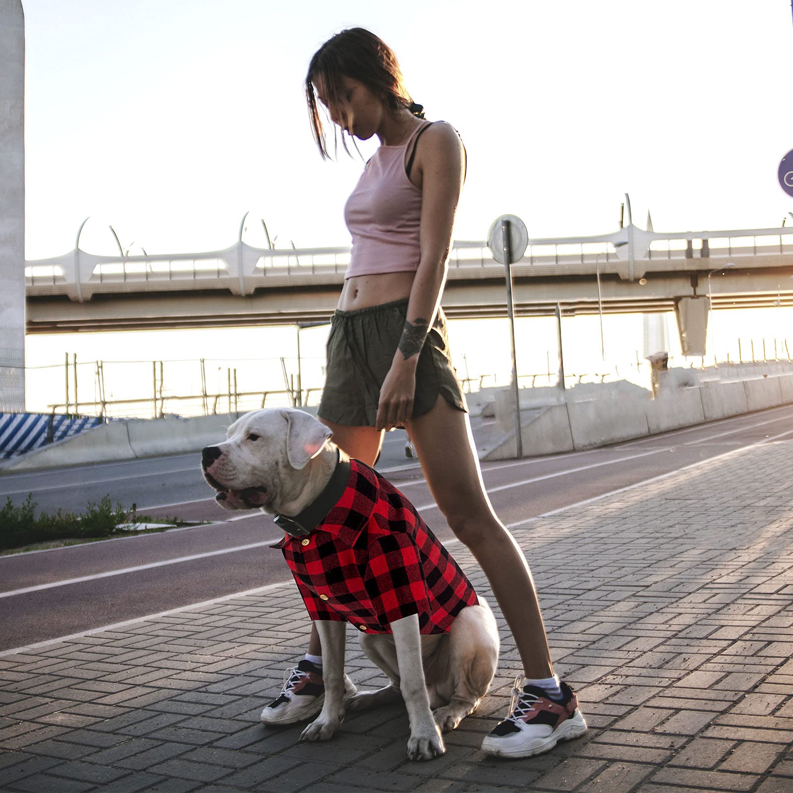 Jamktepat plaid dog shirt size chart to help select the right fit