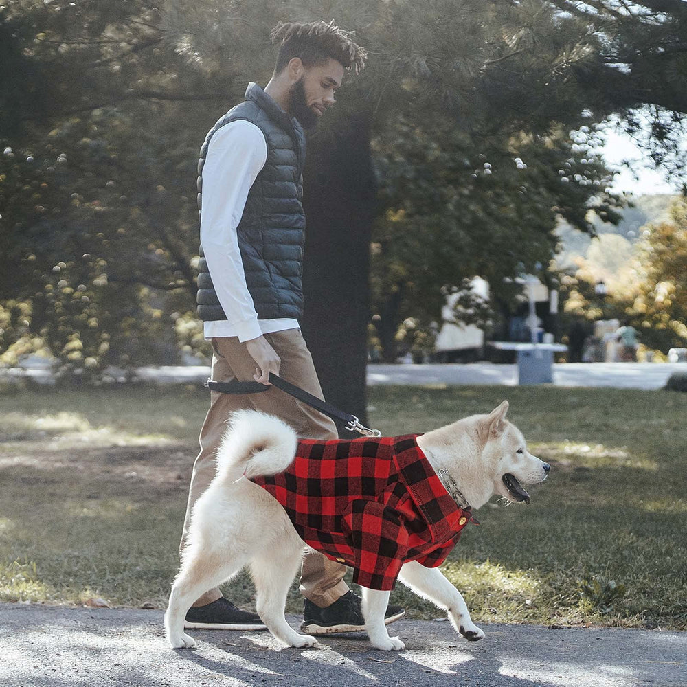Jamktepat plaid dog shirt worn on a dog demonstrating versatile wear