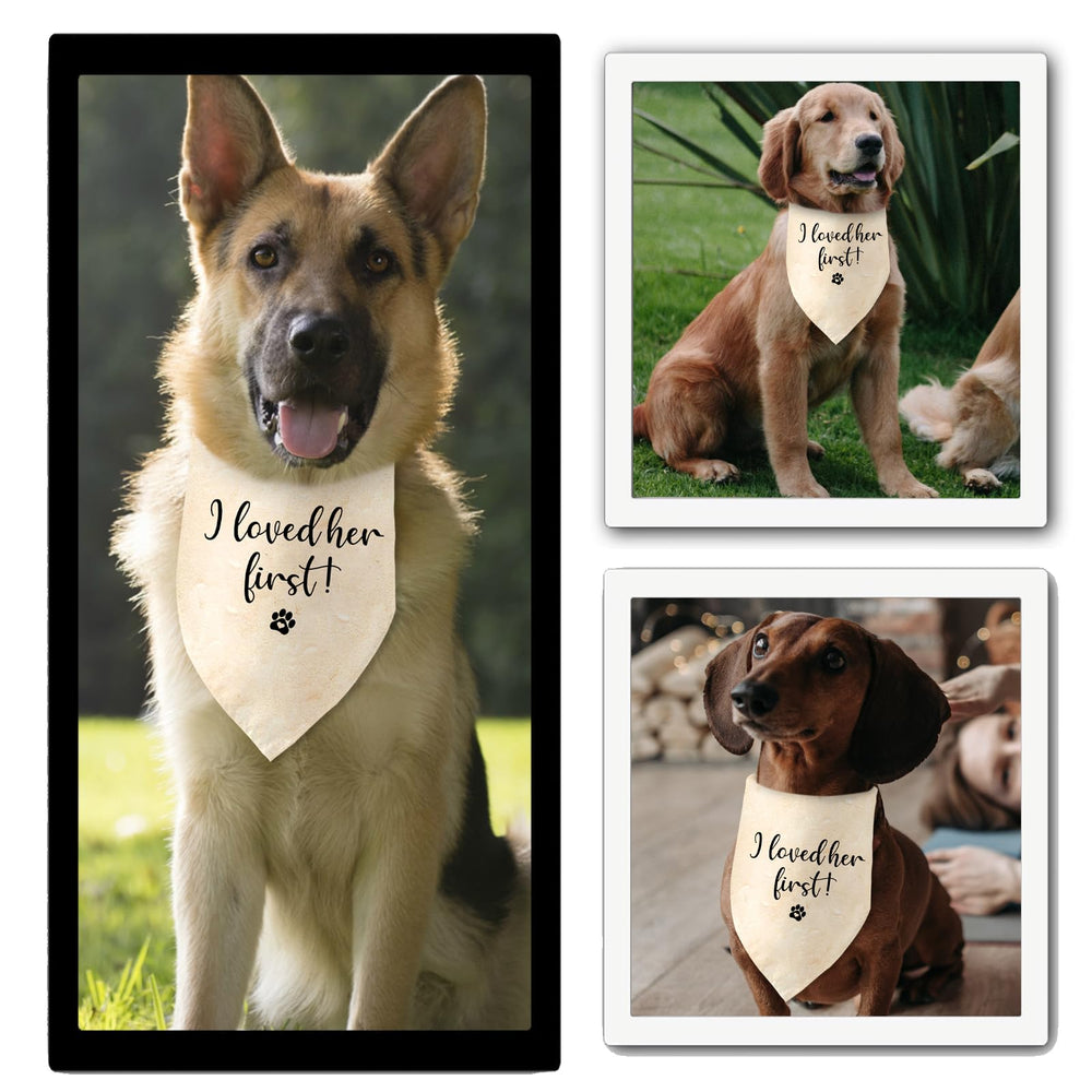 Jamuruwt daily-use bandana for puppies ideal for anniversaries or casual celebrations