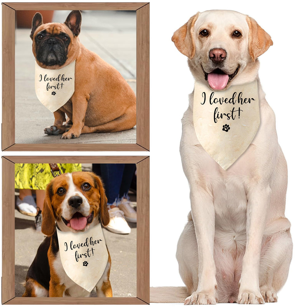 Jamuruwt dog wedding outfit bandana 25-inch neck lightweight and comfortable