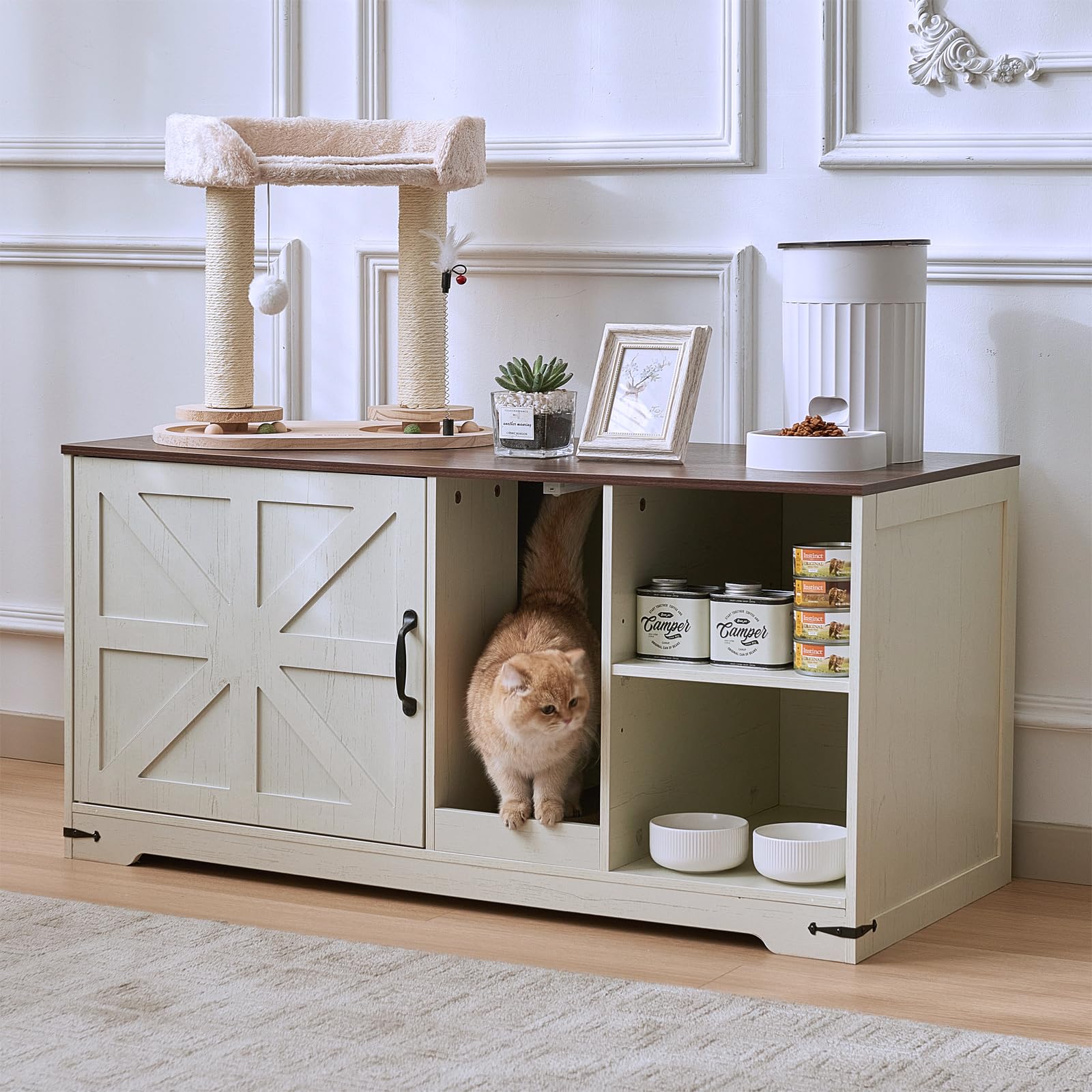 JanflyHome cardboard scratching pad included for cat play