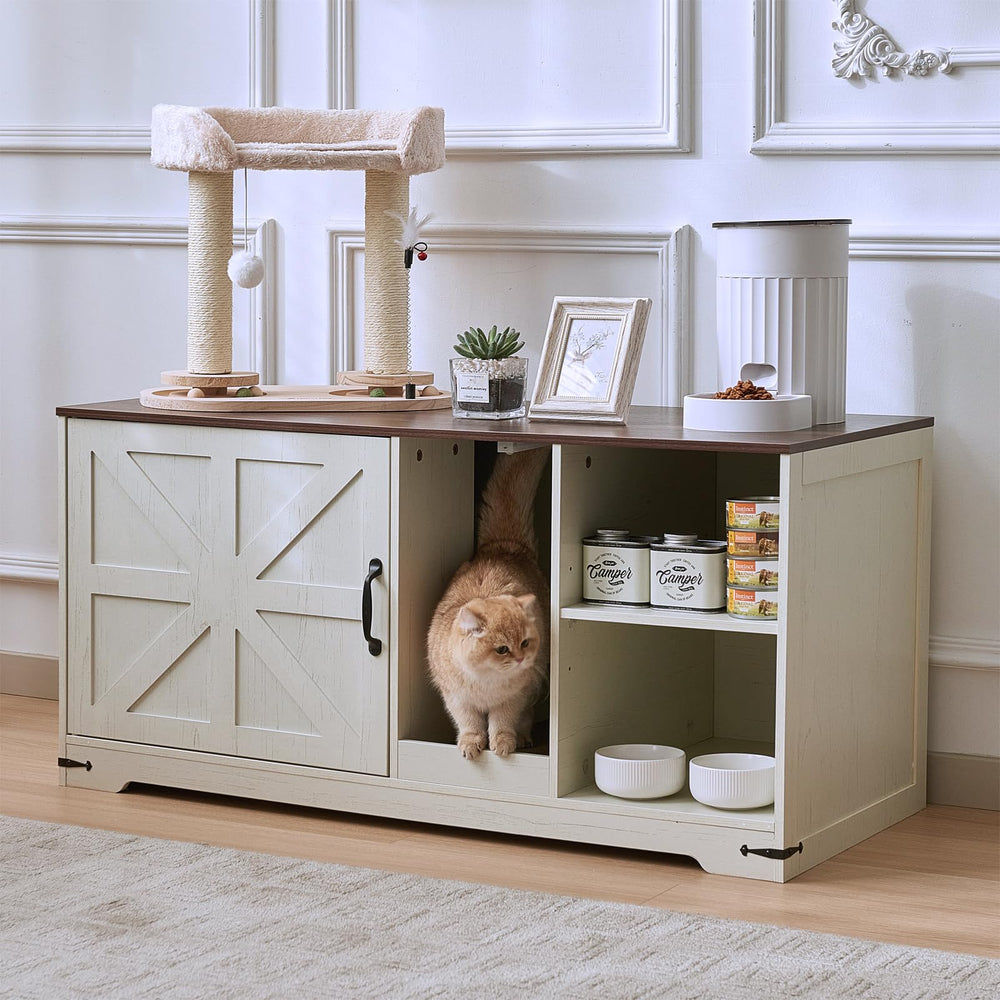 JanflyHome cardboard scratching pad included for cat play