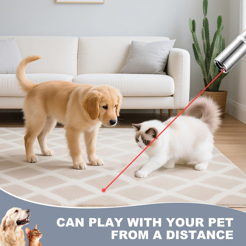 JANHER laser pointer pattern-mouse supports interactive playtime.